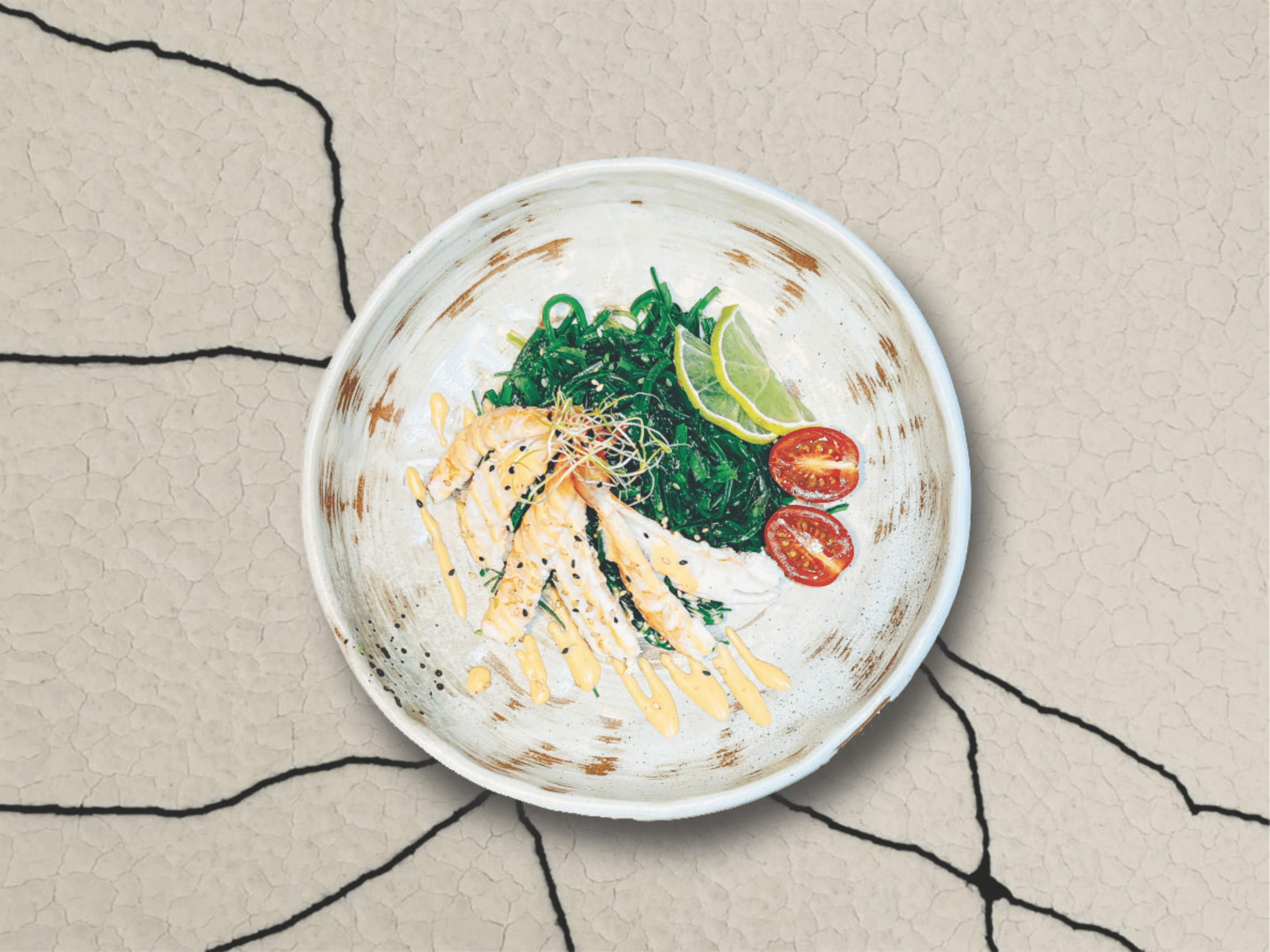 Salade d'algues fraîches accompagnée de crevettes, garnie de légumes croquants et d'une sauce légère